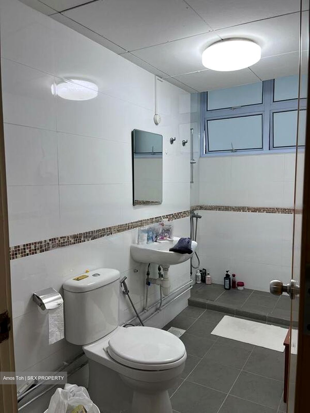 Bukit Timah Plaza / Sherwood Towers (D21), Apartment #458373211